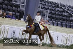 25R13_04073 thumbnail