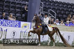 25R13_04074 thumbnail