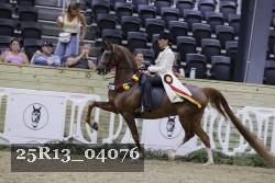25R13_04076 thumbnail