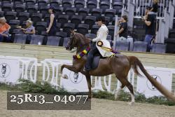 25R13_04077 thumbnail