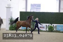 25R13_04079 thumbnail
