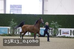 25R13_04080 thumbnail