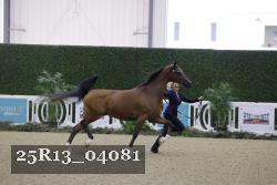 25R13_04081 thumbnail