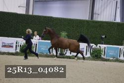 25R13_04082 thumbnail