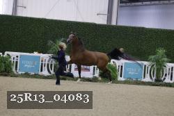 25R13_04083 thumbnail