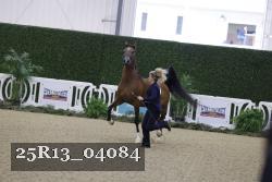 25R13_04084 thumbnail