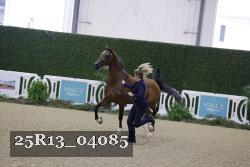 25R13_04085 thumbnail