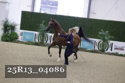 25R13_04086 thumbnail