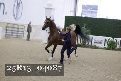 25R13_04087 thumbnail