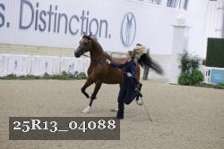 25R13_04088 thumbnail
