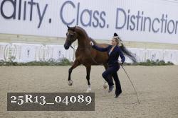 25R13_04089 thumbnail