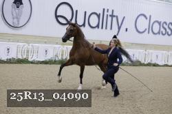 25R13_04090 thumbnail