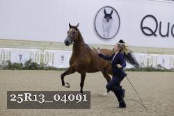 25R13_04091 thumbnail