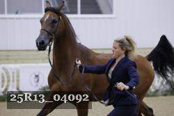 25R13_04092 thumbnail