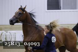 25R13_04093 thumbnail