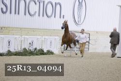 25R13_04094 thumbnail