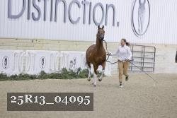 25R13_04095 thumbnail