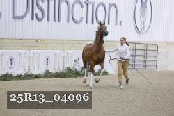 25R13_04096 thumbnail