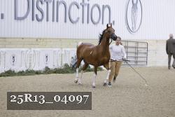 25R13_04097 thumbnail