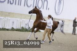 25R13_04099 thumbnail