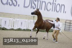 25R13_04100 thumbnail