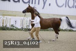 25R13_04102 thumbnail