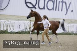 25R13_04103 thumbnail