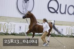25R13_04104 thumbnail