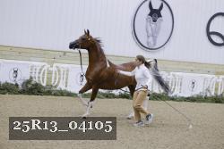 25R13_04105 thumbnail