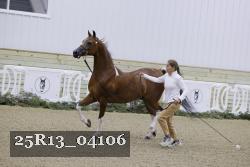 25R13_04106 thumbnail