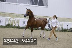 25R13_04107 thumbnail