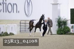 25R13_04108 thumbnail