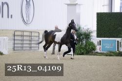 25R13_04109 thumbnail