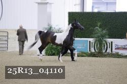 25R13_04110 thumbnail