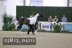 25R13_04111 thumbnail