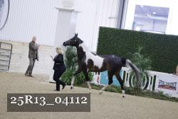 25R13_04112 thumbnail