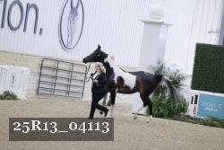 25R13_04113 thumbnail