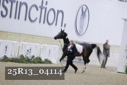 25R13_04114 thumbnail
