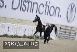 25R13_04115 thumbnail