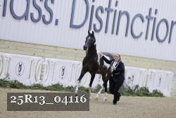 25R13_04116 thumbnail