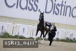 25R13_04117 thumbnail