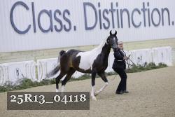 25R13_04118 thumbnail