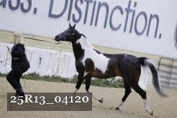 25R13_04120 thumbnail