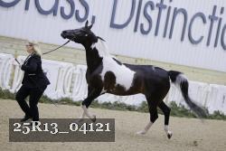 25R13_04121 thumbnail