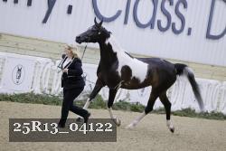 25R13_04122 thumbnail