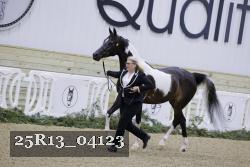 25R13_04123 thumbnail
