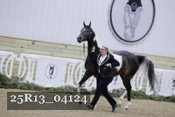 25R13_04124 thumbnail