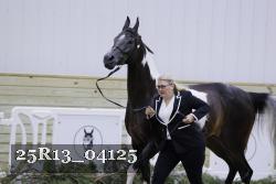 25R13_04125 thumbnail