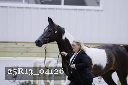 25R13_04126 thumbnail