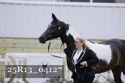 25R13_04127 thumbnail